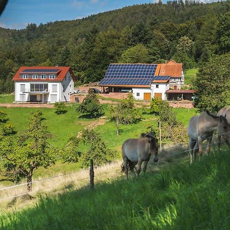 Gruenewaldhof In Rimbach Im Odenwald Leilighet Eksteriør bilde